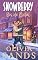 Livro Snowberry Bis de Natal: Um Romance de Natal Aconchegante em uma Pequena Cidade (Snowberry Hill - Português Livro 2)