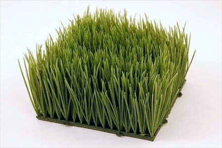 Living Whole Foods Artificial Wheat Grass- Fake Soft PVC Plastic Decorative Wheatgrass: Ornamantal Flower Arranging & Home Decor - 6"x6"x4"