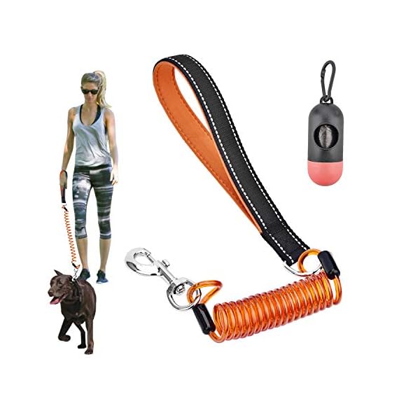 Upicks ChewProof Dog Leash，5FT Adjustable Coated Steel Cable with AntiShock Bungee and Soft