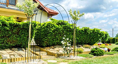 KADAX Rosenbogen, Gartenbogen für Kletterpflanzen, Rosen, Garten, Pergola, pulverbeschichteter Stahl, Gartenlaube, wetterfest, Rankhilfe, Torbogen, Spalier, Deko, Schwarz (40 x 150 x 256 cm) – Bild 4