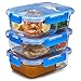 Glass Meal Prep Containers 2-Compartment - 3-Pack 32 Oz. Freezer to Oven Safe Airtight Food Storage Container Set with Hinged Locking Lids BPA Free, Great On the Go Portion Control Lunch Containers