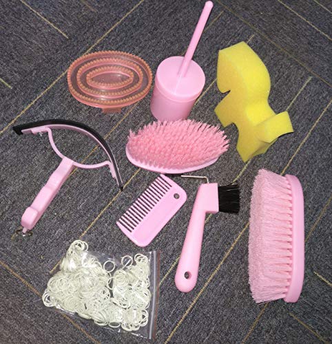 NRTFE Horse Grooming Box Set 9 Pieces Cleanning Tool Set Brushes Hoof Pick Horse Comb Sweat Scraper