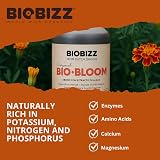 BioBizz Bio-Bloom 1L Liquid Fertiliser for Flowering and Fruiting view 3