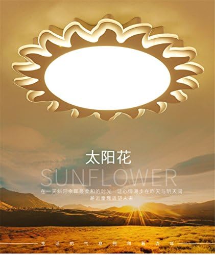 Leihongthebox Ceiling Lights lamp Children led light solar floral Ceiling lamp lights for Hall, Study Room, Office, Bedroom, Living Room,620mm