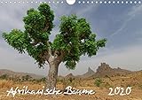 Afrikanische Bäume (Wandkalender 2020 DIN A4 quer): Faszinierende Aufnahmen von Solitairbäumen im by