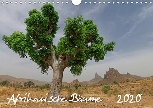 Afrikanische Bäume (Wandkalender 2020 DIN A4 quer): Faszinierende Aufnahmen von Solitairbäumen im by