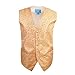 EGC1B04-06 Inspire Style Patterned Waistcoat Microfiber Designer Vests By Epoint