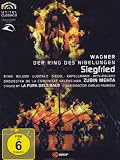 SIEGFRIED (2PC) / (SUB WS)                         image