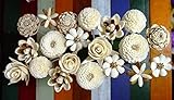 20 Balsa Wood Sola Diffuser Flowers with 7.5in. Rattan Reeds, mix of Jasmine, Rose, Zinnia, Lotus, Dianthus, Rangoon-Creeper