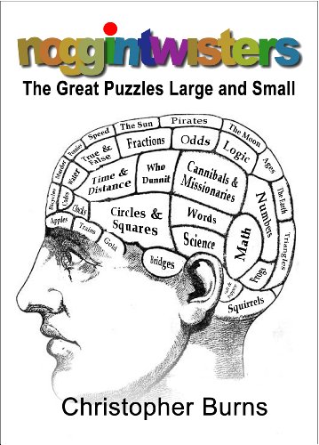 Noggintwisters The Great Puzzles Large And Small Kindle - 