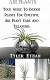 Air Plants: Your Guide To Indoor Plants For Effective Air Plant Care And Tillandsia by