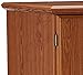 Sauder Orchard Hills Armoire, Carolina Oak finish