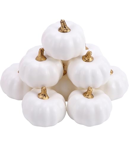Pumpkinsさん専用 Amazon.com: Pumpkin Parts : Home & Kitchen