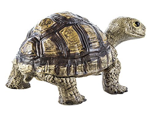Safari Ltd  Incredible Creatures Tortoise