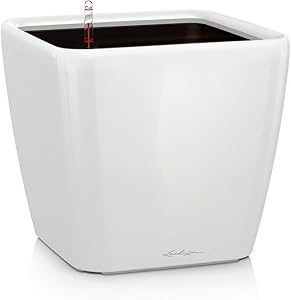 LECHUZA Quadro LS 35 Self Watering Planter Garden Flower Plant Pot Indoor/Outdoor Floor Planter with Drainage Hole and Plant Substrate Poly Resin H33 L35 W35 cm White High-Gloss