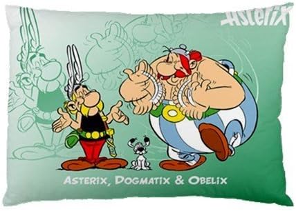 Tostore asterix,dogmatix&obelix printing pillow 20 X 30 inch