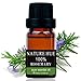 Nature Hue - Rosemary Essential Oil 10 ml, 100% Pure Therapeutic Grade, Undiluted