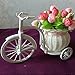 JAROWN Mini Bicycle Flower Stand Hand-Woven Basket Vase for Wedding Room Decoration (New-Light Pink)