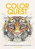 Color Quest: Extreme Coloring Challenges to Complete by