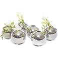 Chive - Set of 6 JoJo Small 3" Sphere, Round Ceramic Flower Vase, Decorative Modern Floral Vase for Home Decor Living Room Centerpieces and Events, Cute Bud Vase (Silver)