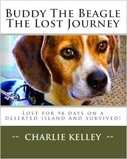 best food for indoor kittens