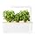 Click & grow smart herb garden Click & grow smart herb garden