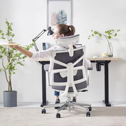 HOLLUDLE Ergonomic Office Chair with Adjustable Backrest, Depth Adjustable Seat, 4D Armrests, Lumbar Support and 2D Headrest, 360° Swivel, Modern Design, White