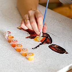 Pretty Jolly DIY Horse Paint by Numbers for Adults