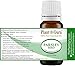 Parsley Seed Essential Oil 10 ml 100% Pure Undiluted Therapeutic Grade.