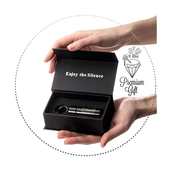 Luxury-High-Fidelity-Earplugs-for-Musician-Concerts-DJ-in-the-Stylish-Metal-Case-material-Brilliant-DURABILITY-and-PRACTICALITY-The-BEST-GIFT-for-those-who-loves-MUSIC–MyTravelUp