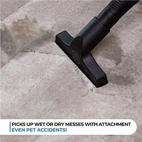 Quantum X Upright Water Filter Vacuum — The Best Bagless Household Vac