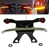 LED Fender Amber Smoked Lens Tail Light Bracket for Victory Vegas 2003-2017