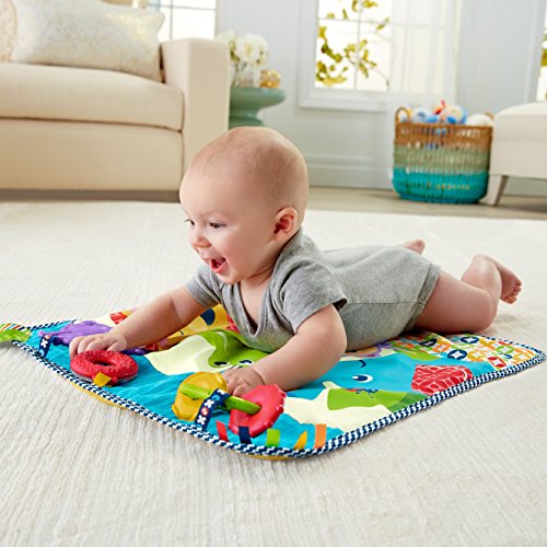 Fisher-Price On-The-Go Activity Throw