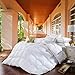 Egyptian Bedding California (Cal) King Size Luxurious 1200 Thread Count Goose Down Alternative Comforter, 100% Egyptian Cotton Cover, Solid White Color, 750 Fill Power, 50 Oz Fill Weight