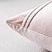 Top Finel Decorative Throw Pillow Covers 18 X 18 Inch,Soft Solid Velvet Pillow Covers Cushion Case for Sofa Bedroom 45 X 45 Cm (Pack of 2) Pink