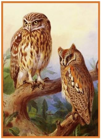 Scops Owls by Archibald Thorburn Bird Counted Cross Stitch Pattern