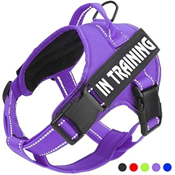 No Pull Dog Harness with Reflective Straps Adjustable Service Dogs Vest with Nylon Handle Easy Control in Training Pet Halters with Hook Oxford Fabric for Small Medium Large Dogs