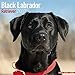 Black Labrador Calendars 2017 - Lab - Retriever - Dog Breed Calendars - 2016 - 2017 wall calendars - 16 Month by Avonside