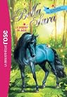 Bella Sara, tome 7 : Le pouvoir de Julie
