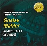 SYMPHONY NO. 1 / BLUMINE                           image