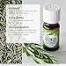 Healing Solutions 10ml Oils - Rosemary Essential Oil - 0.33 Fluid Ounces