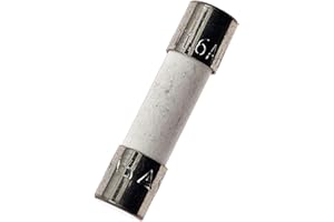 CHENGHONGXING 10PCS Ceramic fuses T1.6AH250V Slow Blow 5x20mm/0.197"x0.787" 1.6AMP 250V (T1.6A)