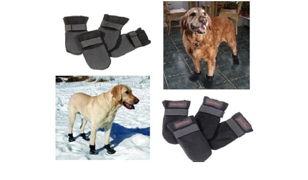 extra small dog boots