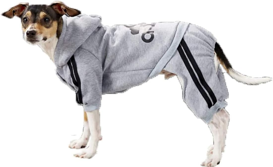 full breed chow chow