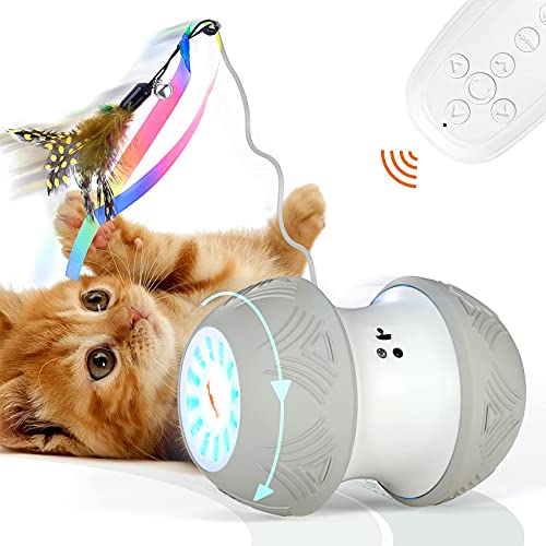 rc cat toy