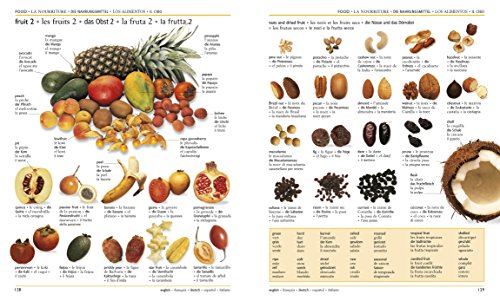 5 Language Visual Dictionary: English, French, German, Spanish, Italian - Thumbnail 3