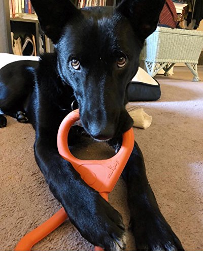 SodaPup: Tug War Dog Toys shaped like a Can Opener + Tough Dog Toys for Large Dogs, USA Made - Orange