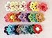 20pc Assorted Six Petals 2.17