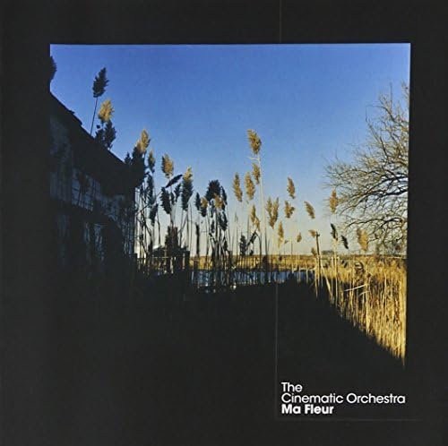 BETSCH JOHN / SOCIETY - Earth Blossom - Amazon.com Music