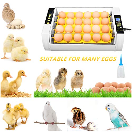 Egg Incubator(24 Eggs), Fully Automatic Digital Poultry Hatching